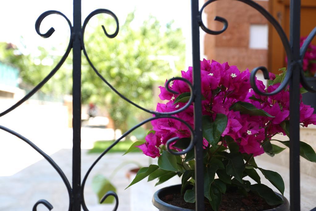 Limon Apart Apartment Акиака Екстериор снимка